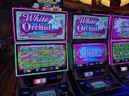 Tampilan permainan slot Playtech Sweet Bonanza dan Gates of Olympus di bam slot